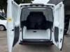 Fiat - Fiorino Endurance EVO 1.4 Flex 8V 2p